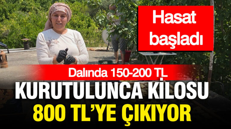 haber-gorseli-1786463328805